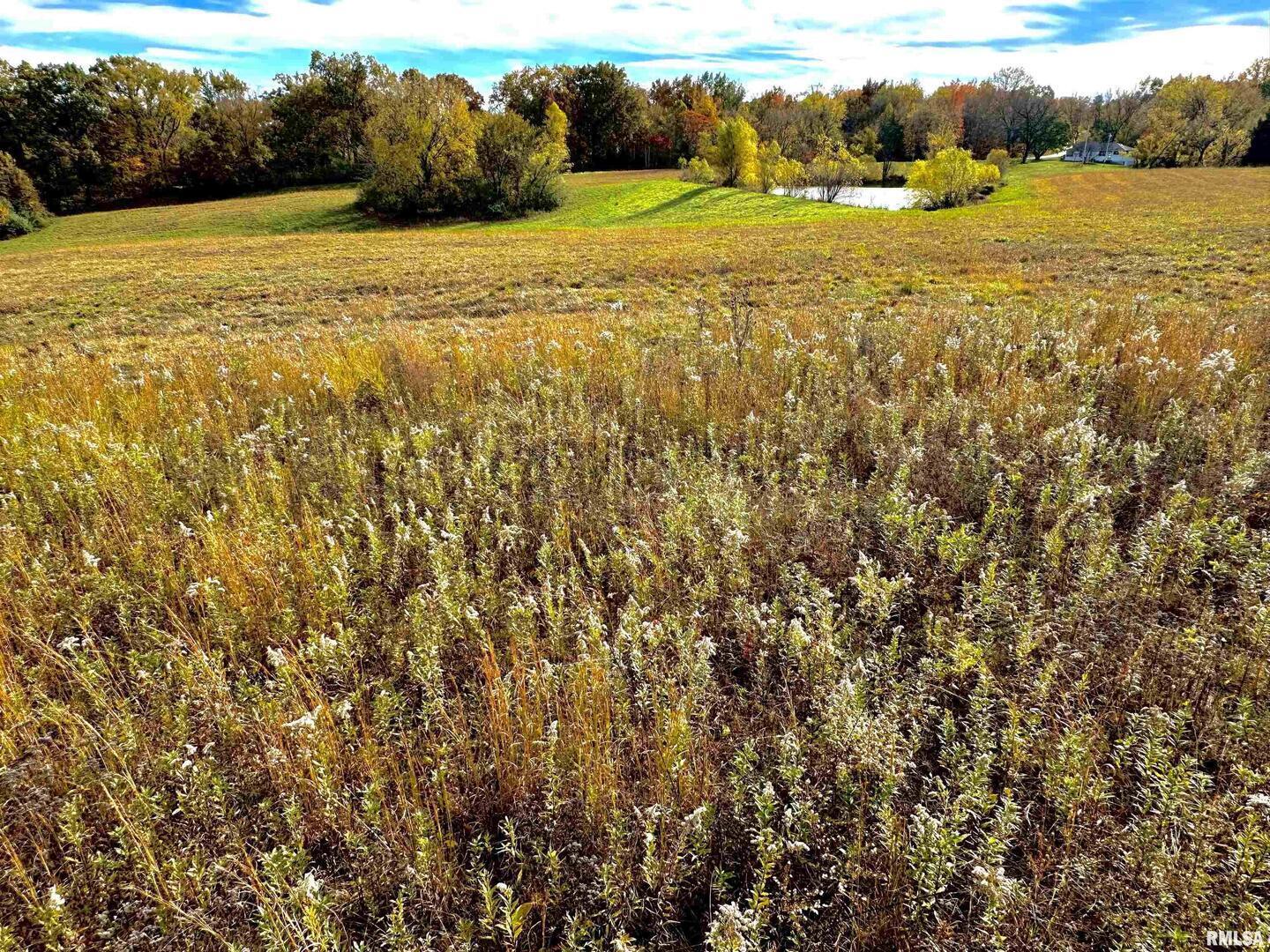 1143 North County Line Road Cobden, IL 62920 - Photo 24 of 31 a view of an ocean from a yard