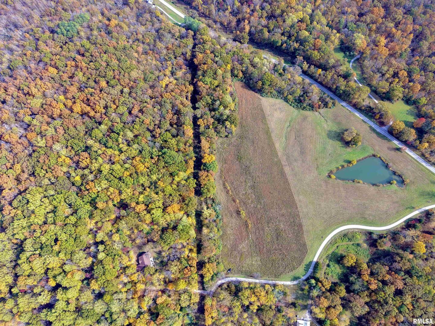 1143 North County Line Road Cobden, IL 62920 - Photo 26 of 31