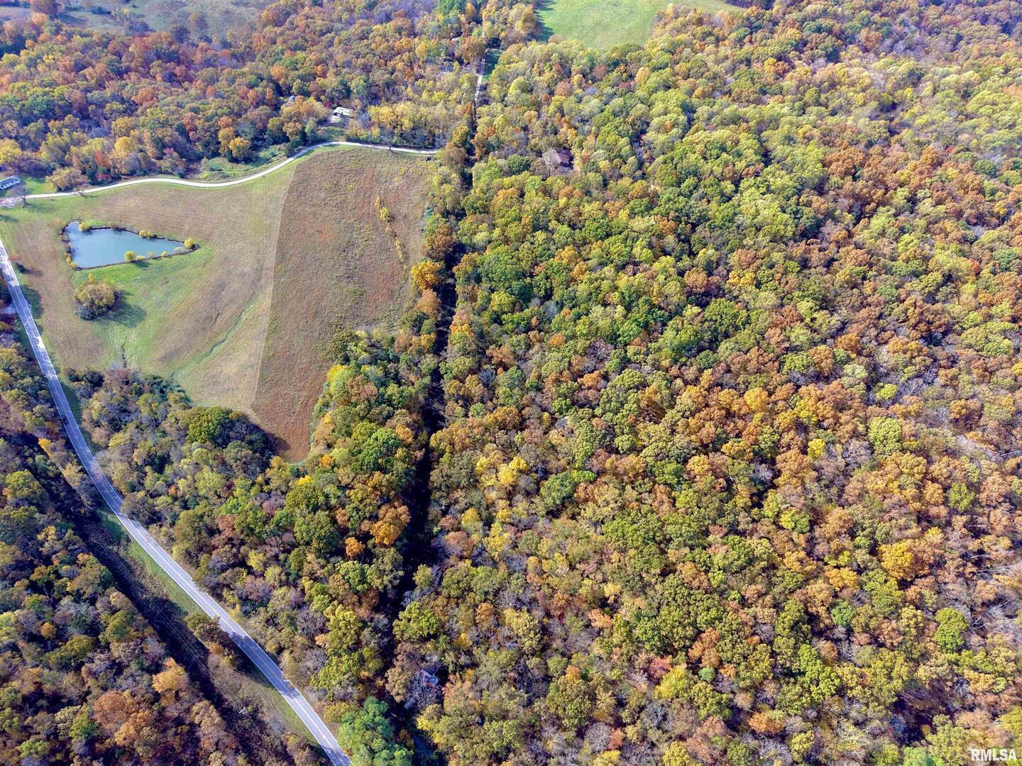 1143 North County Line Road Cobden, IL 62920 - Photo 29 of 31 an aerial view of a painting