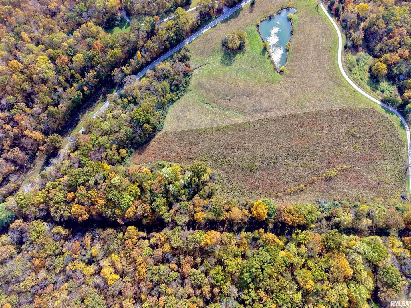 1143 North County Line Road Cobden, IL 62920 - Photo 3 of 31