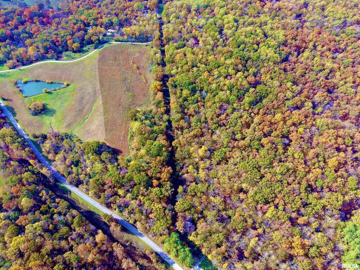 1143 North County Line Road Cobden, IL 62920 - Photo 4 of 31