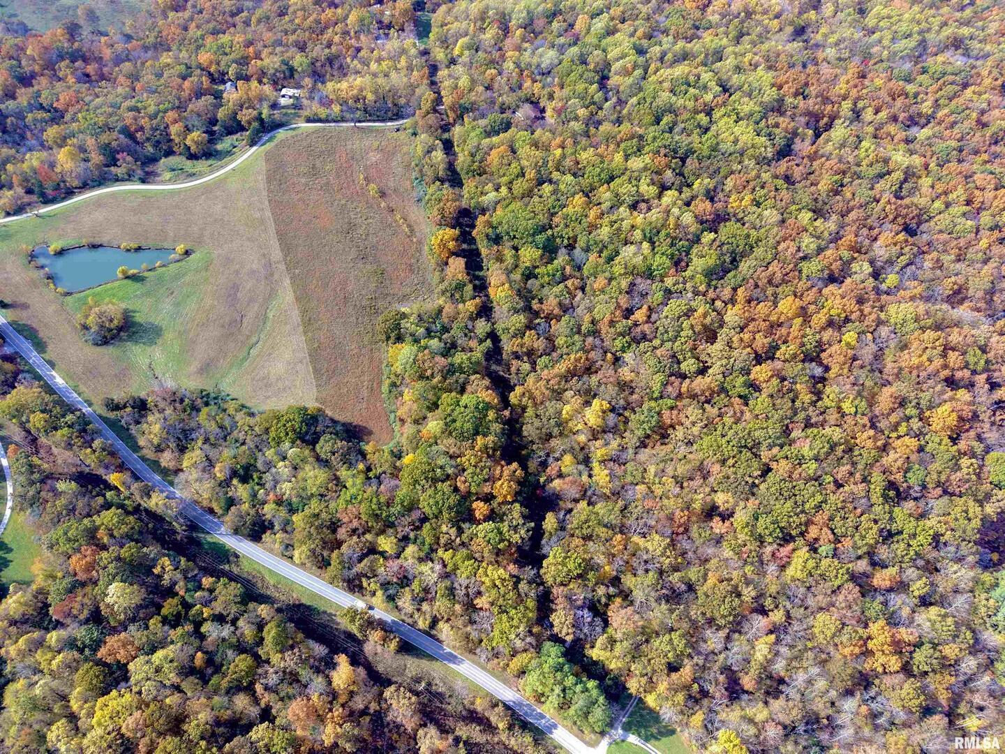 1143 North County Line Road Cobden, IL 62920 - Photo 5 of 31 unknown