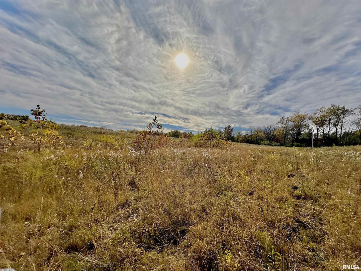 1143 North County Line Road Cobden, IL 62920 - Photo 6 of 31 a view of a lake view