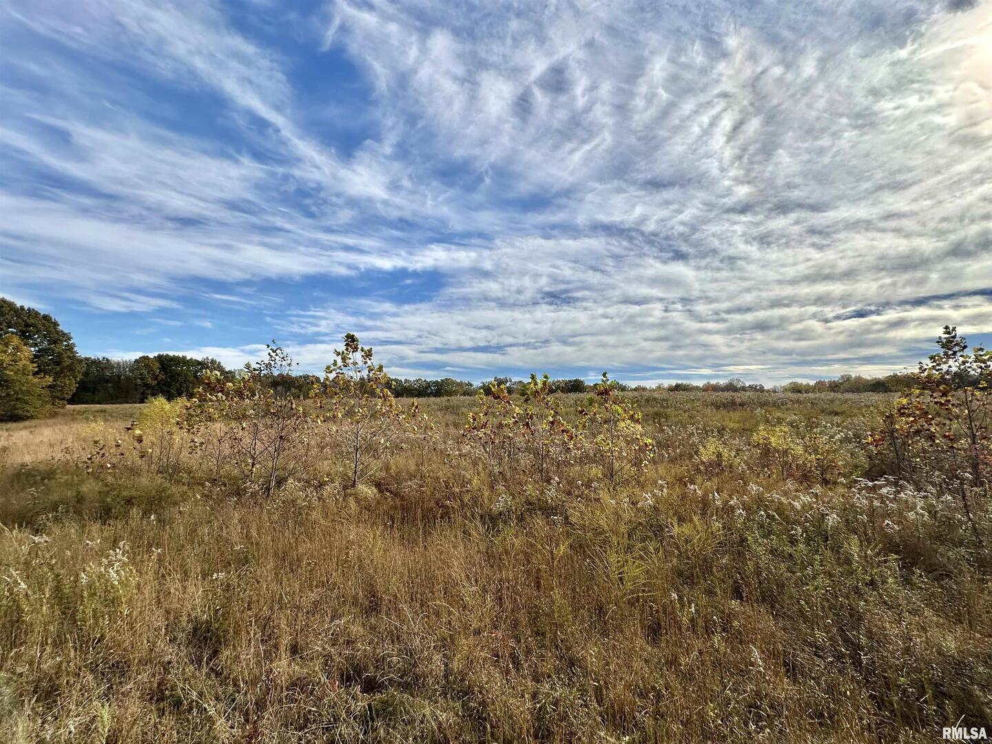 1143 North County Line Road Cobden, IL 62920 - Photo 7 of 31 a view of lake and mountain