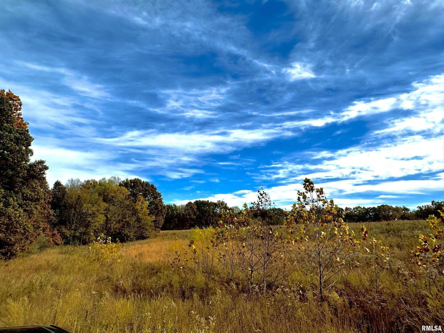 1143 North County Line Road Cobden, IL 62920 - Photo 8 of 31 a view of a sky