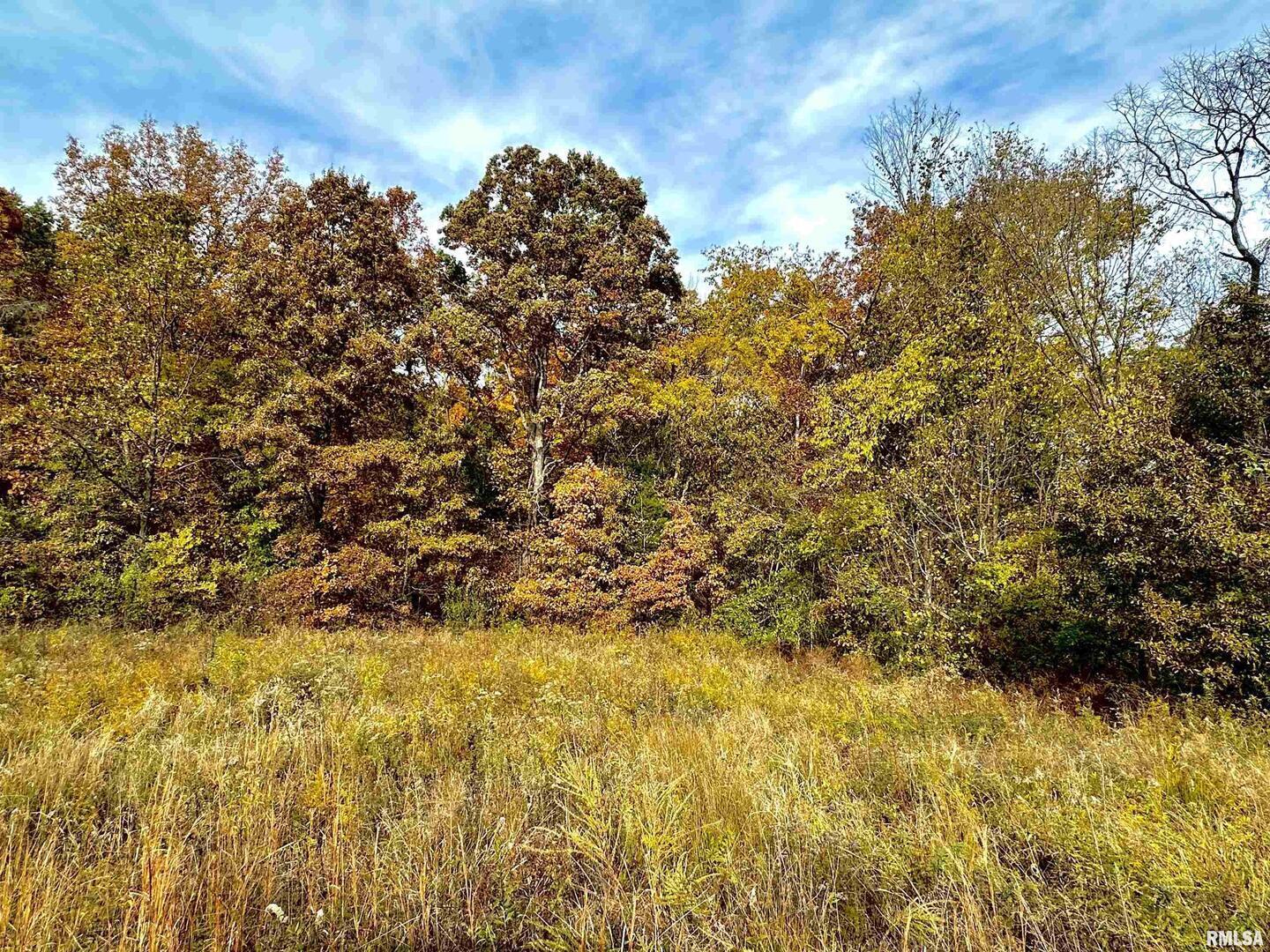 1143 North County Line Road Cobden, IL 62920 - Photo 9 of 31 a view of a yard