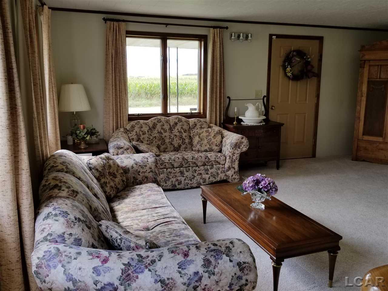 14738 Packard Road Hudson, MI 49247 - Photo 21 of 30