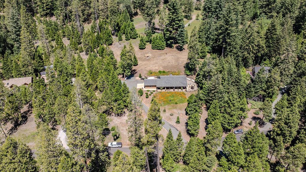 26845 Spring Court Pioneer, CA 95666 - Photo 83 of 89 an aerial view of residential house with outdoor space and trees all around