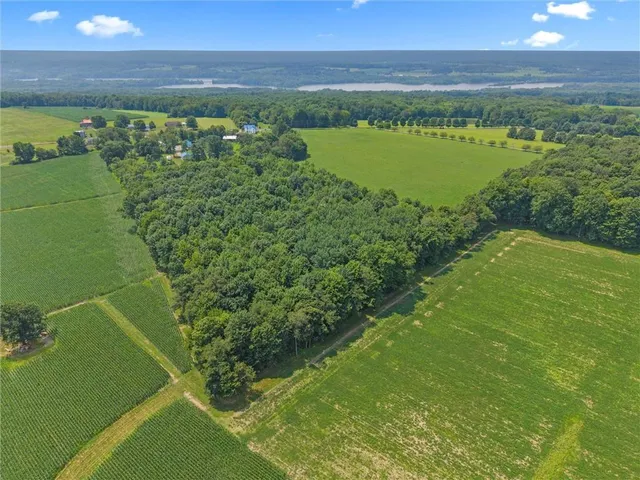 a view of a lake from a yard