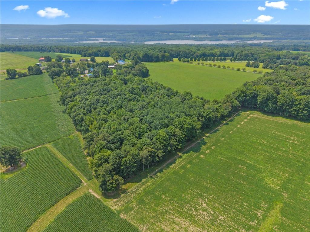 2789 Rutledge Road Transfer, PA 16154 - Photo 43 of 50 a view of a lake from a yard