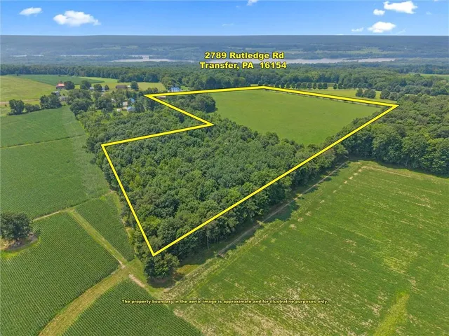 a view of a field with an ocean