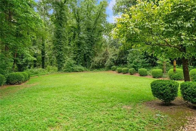 a view of a garden with a tree