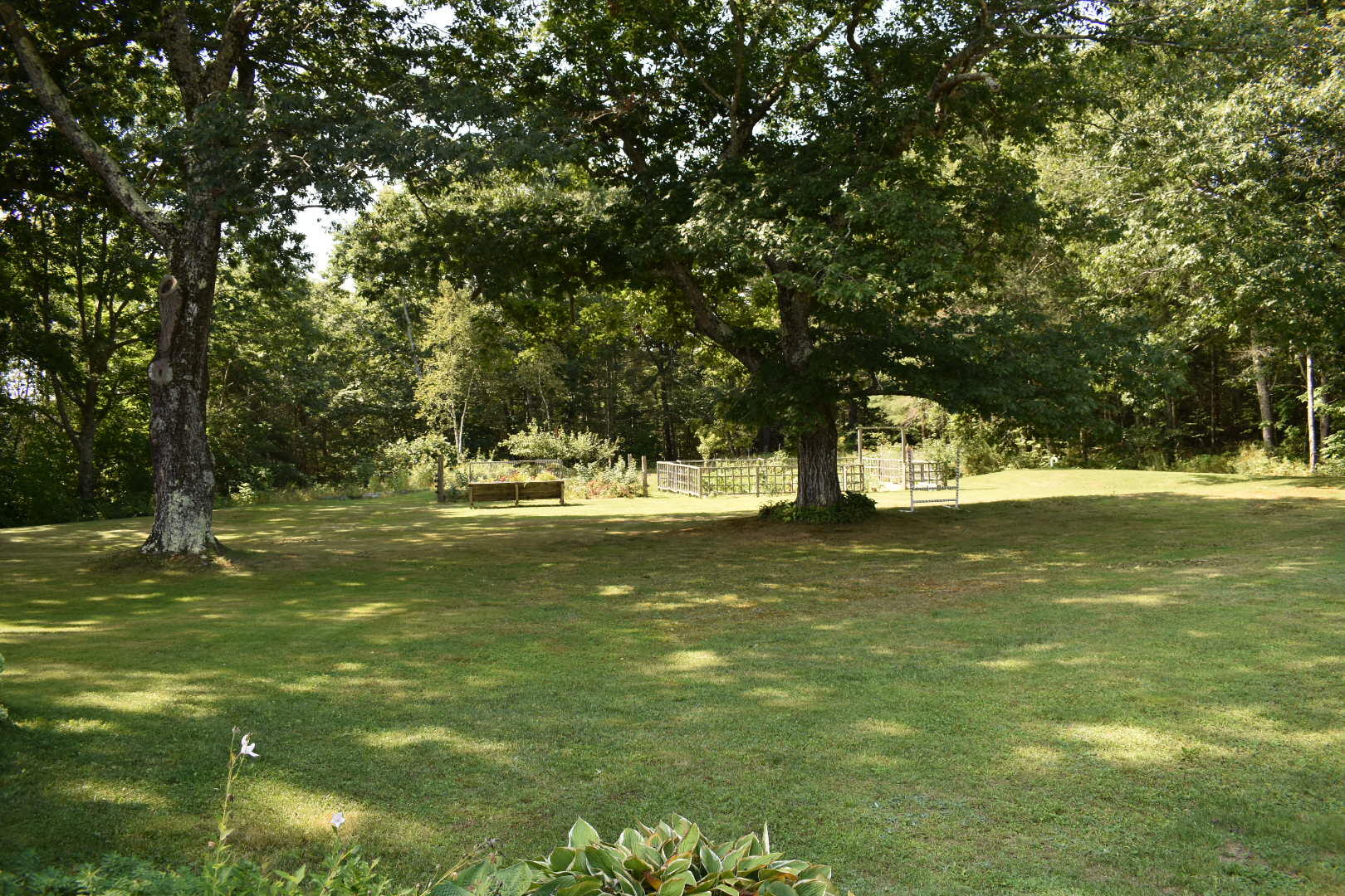 846 Waldo Station Road Belfast, ME 04915 - Photo 5 of 58 DSC_0497