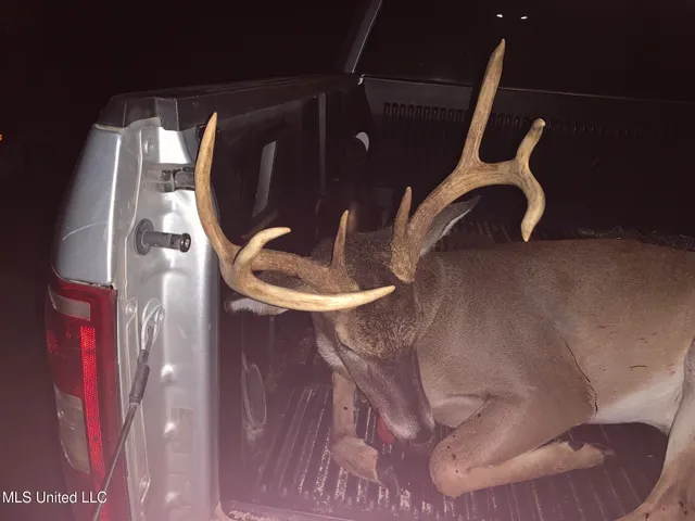 $224,900 | 3028 Attala Road 4110, Sallis, MS 39160