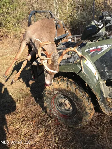 $224,900 | 3028 Attala Road 4110, Sallis, MS 39160