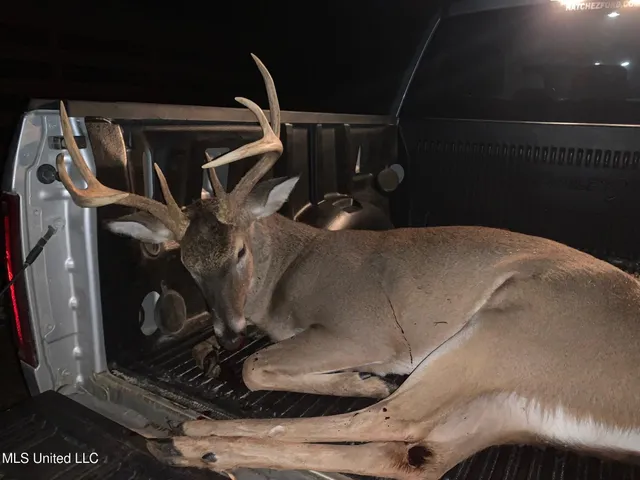 $224,900 | 3028 Attala Road 4110, Sallis, MS 39160