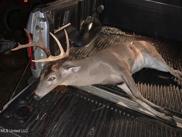 $224,900 | 3028 Attala Road 4110, Sallis, MS 39160