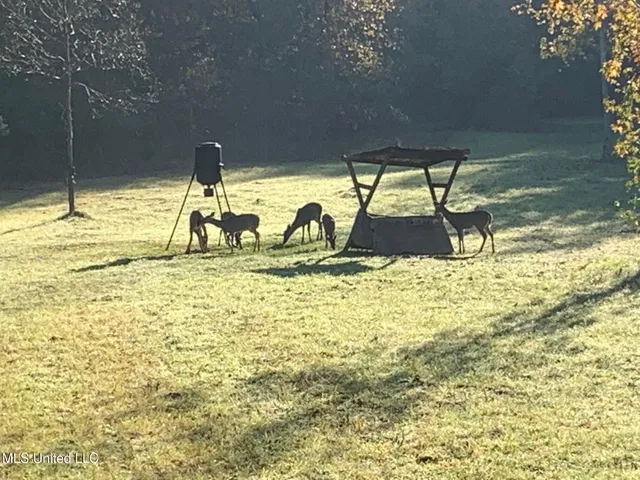 $224,900 | 3028 Attala Road 4110, Sallis, MS 39160