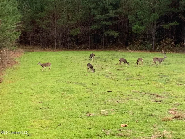 $224,900 | 3028 Attala Road 4110, Sallis, MS 39160