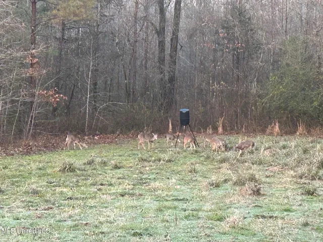 $224,900 | 3028 Attala Road 4110, Sallis, MS 39160