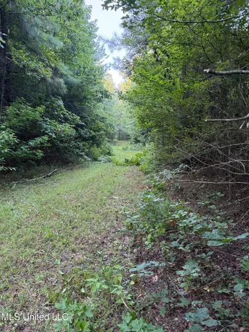 $224,900 | 3028 Attala Road 4110, Sallis, MS 39160