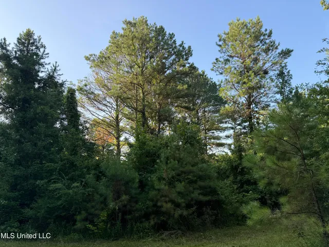 $224,900 | 3028 Attala Road 4110, Sallis, MS 39160