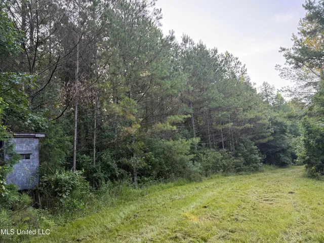 $224,900 | 3028 Attala Road 4110, Sallis, MS 39160
