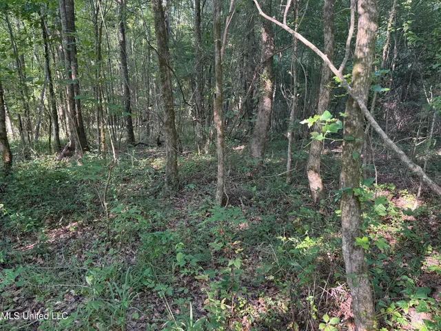 $224,900 | 3028 Attala Road 4110, Sallis, MS 39160