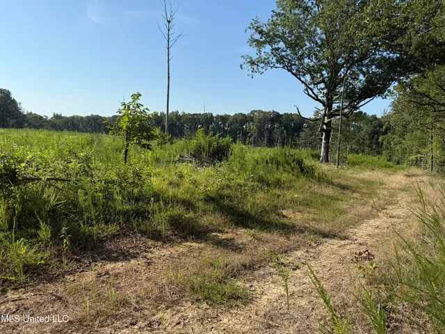 $224,900 | 3028 Attala Road 4110, Sallis, MS 39160