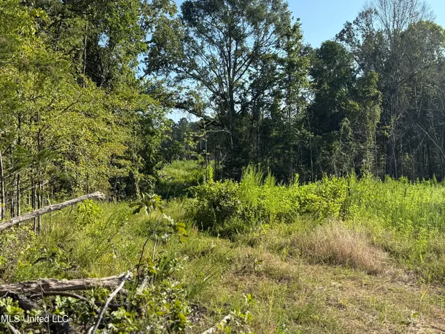 $224,900 | 3028 Attala Road 4110, Sallis, MS 39160