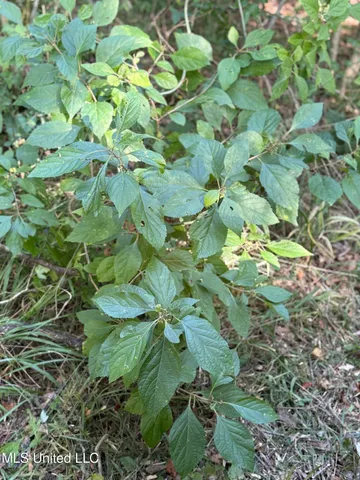 $224,900 | 3028 Attala Road 4110, Sallis, MS 39160