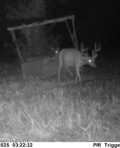 $224,900 | 3028 Attala Road 4110, Sallis, MS 39160