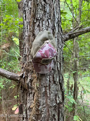 $224,900 | 3028 Attala Road 4110, Sallis, MS 39160