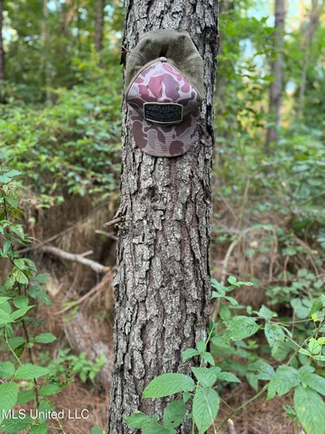 $224,900 | 3028 Attala Road 4110, Sallis, MS 39160