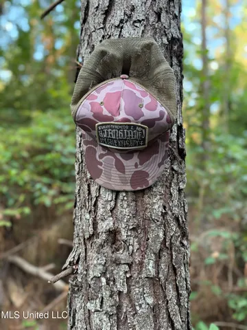 $224,900 | 3028 Attala Road 4110, Sallis, MS 39160