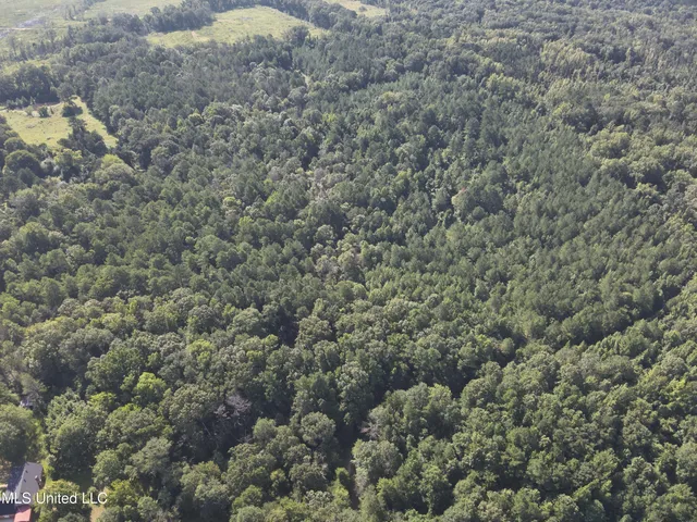 $224,900 | 3028 Attala Road 4110, Sallis, MS 39160