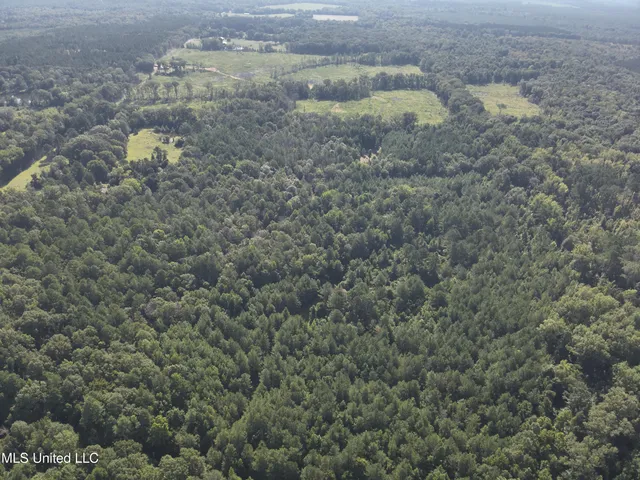 $224,900 | 3028 Attala Road 4110, Sallis, MS 39160