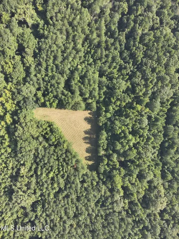 $224,900 | 3028 Attala Road 4110, Sallis, MS 39160