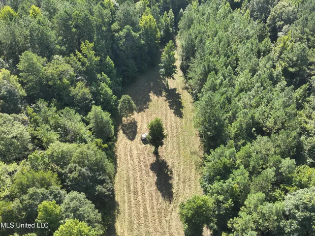 $224,900 | 3028 Attala Road 4110, Sallis, MS 39160