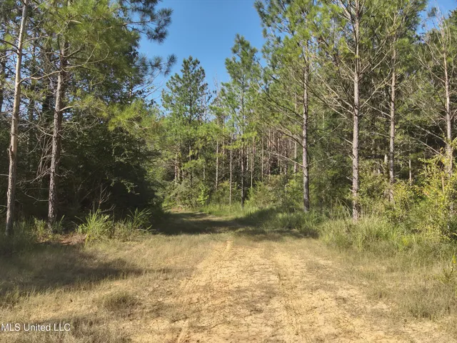 $224,900 | 3028 Attala Road 4110, Sallis, MS 39160