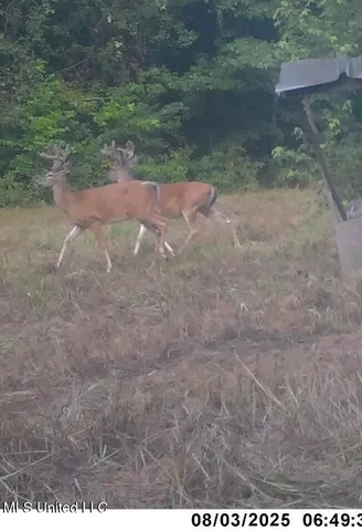 $224,900 | 3028 Attala Road 4110, Sallis, MS 39160