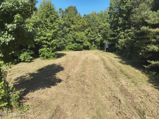 $224,900 | 3028 Attala Road 4110, Sallis, MS 39160