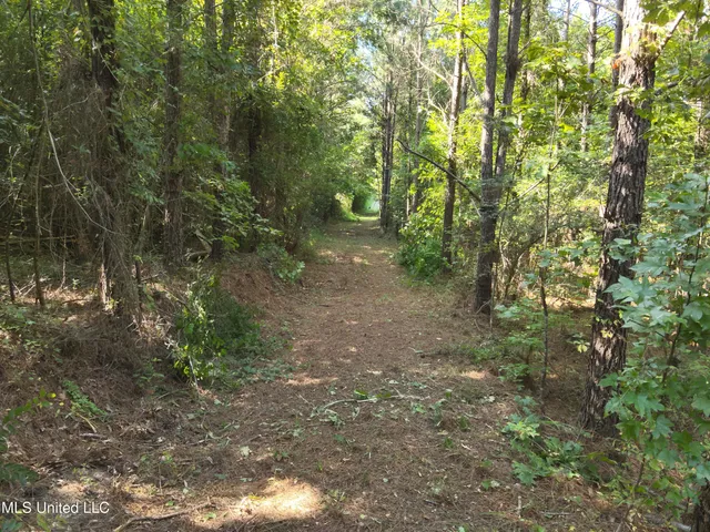 $224,900 | 3028 Attala Road 4110, Sallis, MS 39160