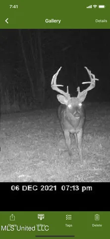 $224,900 | 3028 Attala Road 4110, Sallis, MS 39160