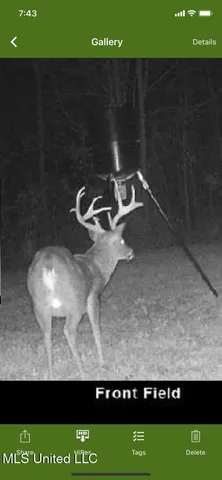 $224,900 | 3028 Attala Road 4110, Sallis, MS 39160