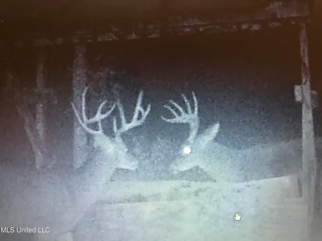 $224,900 | 3028 Attala Road 4110, Sallis, MS 39160