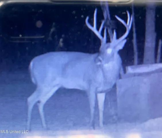 $224,900 | 3028 Attala Road 4110, Sallis, MS 39160