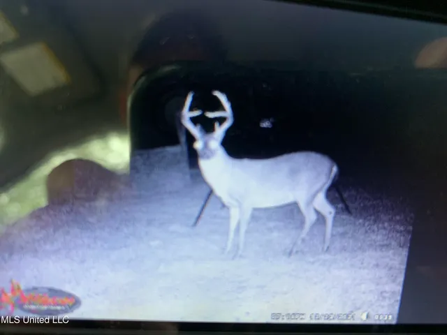 $224,900 | 3028 Attala Road 4110, Sallis, MS 39160