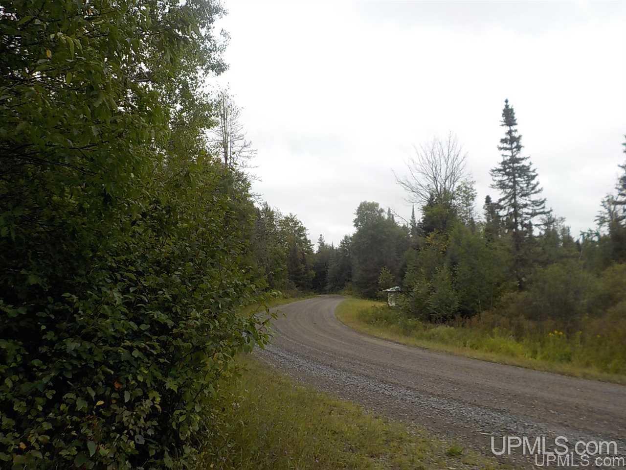 196.2-ac East Cable Lake Road Crystal Falls, MI 49920 - Photo 13 of 17