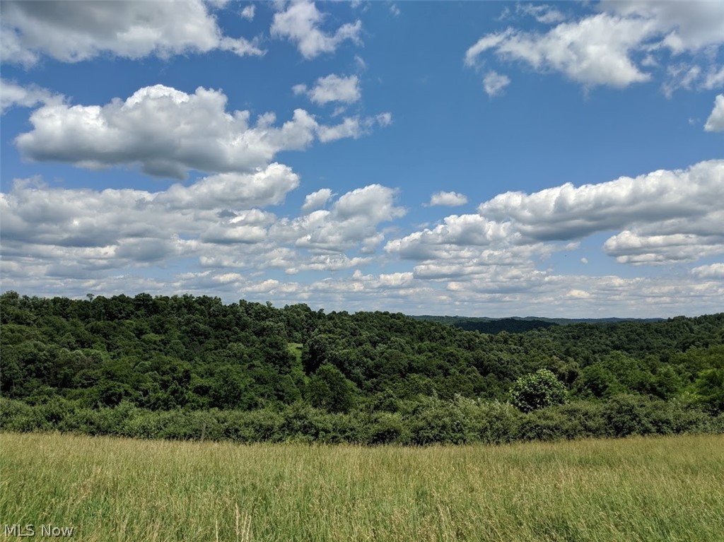 1970 Gold Ring Road Middlebourne, WV 26149 - Photo 2 of 7